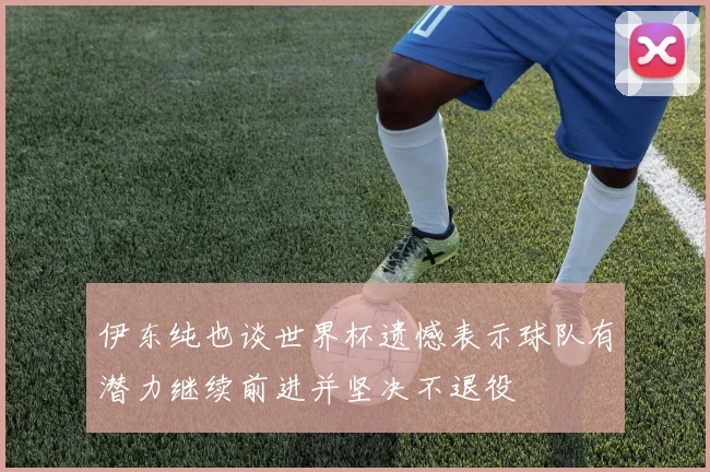 伊东纯也谈世界杯遗憾表示球队有潜力继续前进并坚决不退役